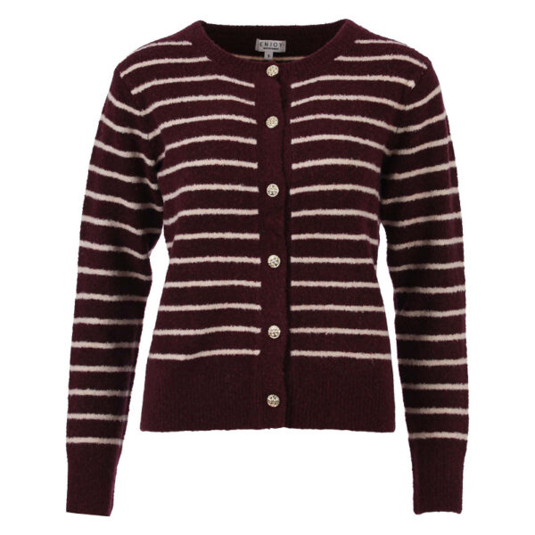 Enjoy - Gebreid vest bretonse strepen