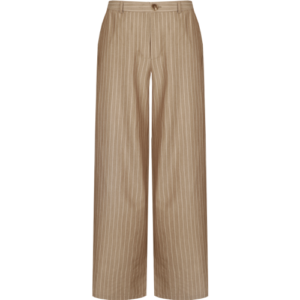 CS -  Petri pants